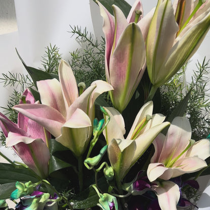 Velvet Bloom